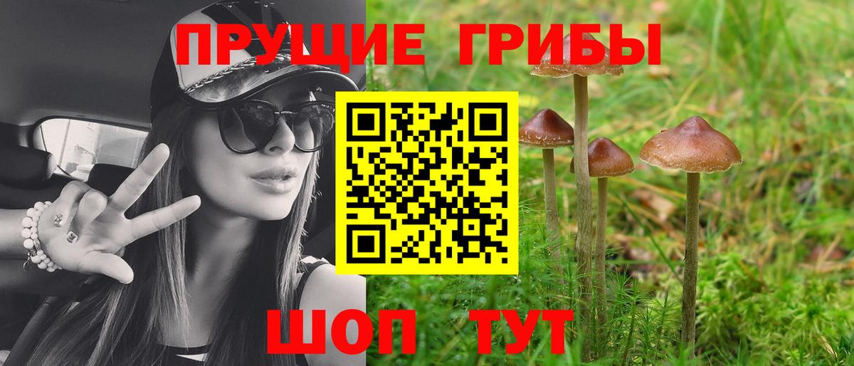 Галлюциногенные грибы прущие грибы  Псилоцибиновые грибы GOLDEN TEACHER  Белорецк  Вход с VPN 